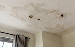 Trần nhà ngấm nước nên làm gì đầu tiên?