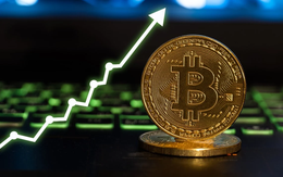 Bitcoin tăng phi mã: Thị trường tiền số “dựng sóng”, nhà đầu tư “sôi sục” nguyên tuần