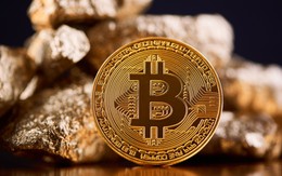 Bitcoin tăng vọt vượt 80.000 USD, chuyên gia nước ngoài dự đoán khả năng hướng tới 100.000 USD