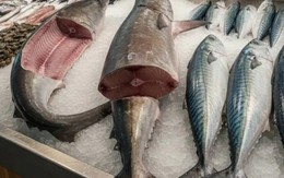 6 loại cá "ngậm" nhiều thủy ngân bậc nhất