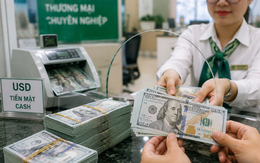 Tỷ giá USD 25/8 tại Vietcombank, VietinBank, BIDV, MB, Techcombank, ACB, Eximbank, Sacombank