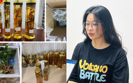 Khởi tố TikToker “Hằng Lê Sâm Ngọc Linh”