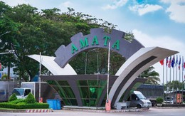 “Đại gia” Thái đang phát triển 2.500 ha KCN tại Việt Nam bán đứt dự án 700 ha: Tham vọng dang dở về tay DN 7 ngày tuổi