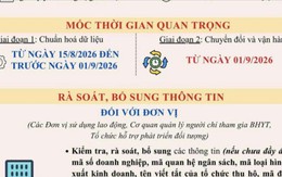 Từ 1-9-2026, sử dụng số định danh cá nhân, Căn cước công dân thay thế mã số bảo hiểm xã hội