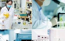 Giải thể Hội đồng Quốc gia về Khoa học, Công nghệ và Đổi mới sáng tạo