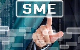 FiinGroup: Nhiều doanh nghiệp SME có thời gian hoạt động dài trên 5 năm, rủi ro ở mức trung bình và thấp nhưng chưa tiếp cận vốn vay