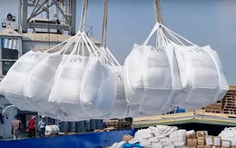 Philippines dựng thêm rào cản, gạo Việt trước bài toán tìm đầu ra