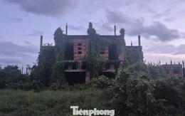 Đồng Nai cảnh báo tình trạng đầu cơ, làm giá nhà đất đón quy hoạch