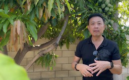 Thành quả của Vân Sơn tại Mỹ sau khi phá sản