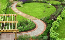 5 loại cây dễ chăm sóc, thích hợp trồng lối đi sân vườn