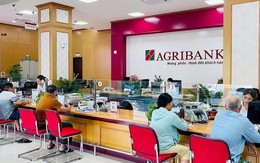 Lãi suất ngân hàng 29/8 tại Agribank, Vietcombank, BIDV, VietinBank, MB, Sacombank, HDBank,...