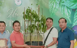 'Hoa hậu' sâm Ngọc Linh bán đấu giá hơn 700 triệu đồng