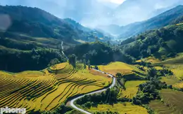 Ruộng bậc thang Tây Bắc mùa lúa chín đẹp như tranh