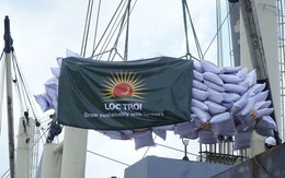Loạt doanh nghiệp đình đám một thời bị mất tư cách công ty đại chúng
