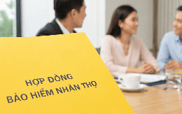 Lãi lớn tại Việt Nam, một công ty bảo hiểm nhân thọ mới chuyển hơn 5.000 tỷ về nước, lợi nhuận tích lũy vẫn còn 19.000 tỷ