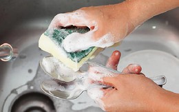 1 miếng rửa bát giải phóng tới 6,5 triệu hạt vi nhựa: 5 vật dụng quen thuộc trong nhà bị chỉ điểm là nguồn phơi nhiễm