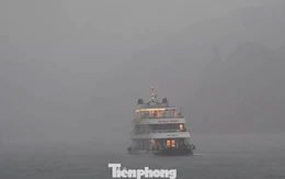 Mưa lớn ở vịnh Lan Hạ, Cát Bà, du khách xếp hàng chờ lên thuyền
