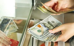Từ mai (1/9), sẽ phạt tiền đến 100 triệu đồng đối với các trường hợp sau liên quan tiền mã hóa