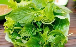 Tin vui cho những người thích ăn rau kinh giới!