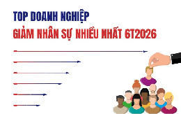 Hơn 6.400 nhân sự rời khỏi báo cáo của 8 ngân hàng, 14 DN đứng đầu đã giảm 21.730 lao động