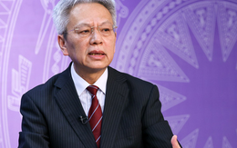 TS Nguyễn Sĩ Dũng: Việt Nam cần những doanh nghiệp tạo dựng năng lực mới cho nền kinh tế