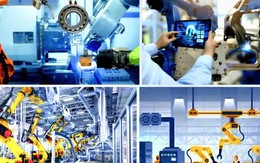 Danh mục dịch vụ sự nghiệp công sử dụng ngân sách nhà nước trong lĩnh vực khoa học và công nghệ