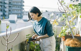5 điều người sống tối giản lâu năm không còn làm: Người mới bắt đầu lại rất dễ mắc phải