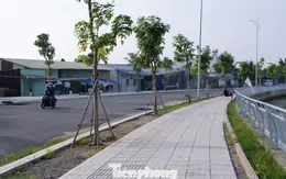 Hơn 3 năm cải tạo, tuyến kênh dài nhất TPHCM ‘thay da đổi thịt’ ra sao?
