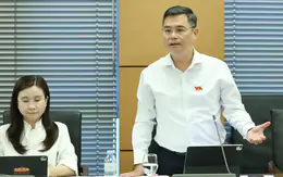 Lo ngại việc áp dụng tùy nghi "tỷ lệ an toàn khác" đối với ngân hàng