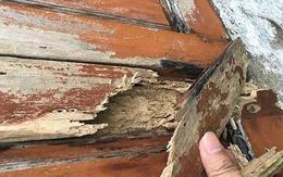 Thợ mộc lâu năm chỉ ra cách nhận biết cửa gỗ, tủ gỗ trong nhà bị mối, mọt nghiêm trọng: Nhiều người từng thấy nhưng lại bỏ qua