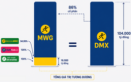 Nắm trong tay Điện Máy Xanh, Bách Hóa Xanh, An Khang, vốn hóa MWG chỉ ngang DMX