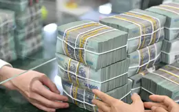 Cơ cấu lại vốn nhà nước tại doanh nghiệp, khuyến khích sáp nhập
