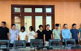 Ngoài rửa tiền cho Mr Pips, Shark Bình đang bị điều tra về 3 tội danh