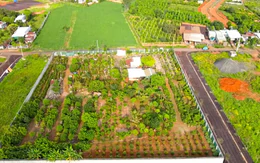 Vì sao chưa thu hồi được hơn 15 tỉ đồng tiền cọc đấu giá đất tại Gia Lai?