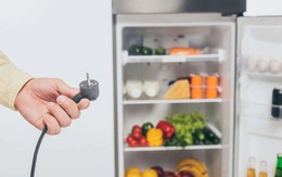 Dùng tủ lạnh có nên rút phích cắm điện không?