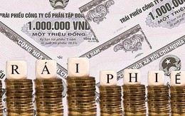 Loạt doanh nghiệp lên kế hoạch huy động trái phiếu để làm gì?