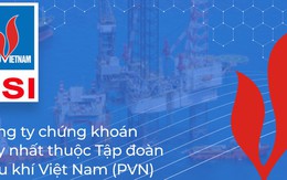 Chứng khoán Dầu khí sắp phát hành trái phiếu riêng lẻ