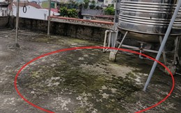 Lời khuyên cho những gia đình lâu ngày không vệ sinh sân thượng