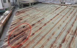 Mái tôn bị gỉ sét nên làm gì đầu tiên?