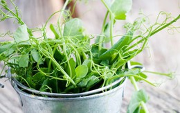 7 loại rau nên trồng ngay trong tháng 9, có loại chỉ ít tuần đã bắt đầu được thu hoạch