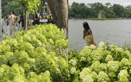 Dịp nghỉ lễ 2/9, Hồ Gươm đẹp như một bức tranh mùa thu: Hoa nở rực rỡ, góc nào cũng đông người check-in