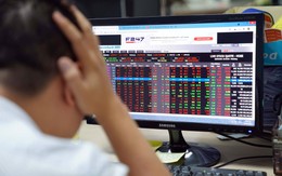 Thổi phồng lợi nhuận năm 2025, 4 công ty niêm yết bị Thanh tra Chứng khoán Nhà nước điểm tên