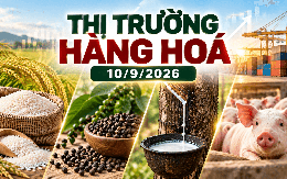 Thị trường hàng hóa ngày 10/9: Giá tiêu bật tăng mạnh, cao su bứt phá