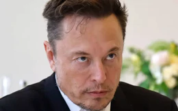 Elon Musk nổi giận