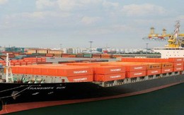 Transimex chốt ngày trả cổ tức năm 2025 bằng tiền và cổ phiếu