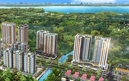 Sovico Group tất toán hơn 1.050 tỷ đồng gốc, lãi trái phiếu