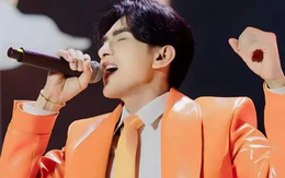 Đan Trường bị chê