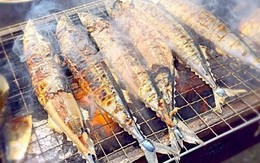 Rẻ hơn cá hồi nhưng dinh dưỡng chẳng "kém cạnh", DHA gấp 3: Bạn có biết đó là cá gì?
