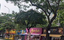 Thị trường bánh trung thu 2026 trầm lắng