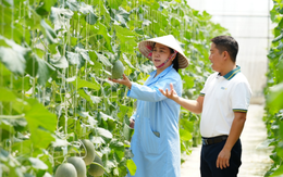 BIDV tiếp dòng tài chính, cùng khách hàng tiếp nối thành tựu